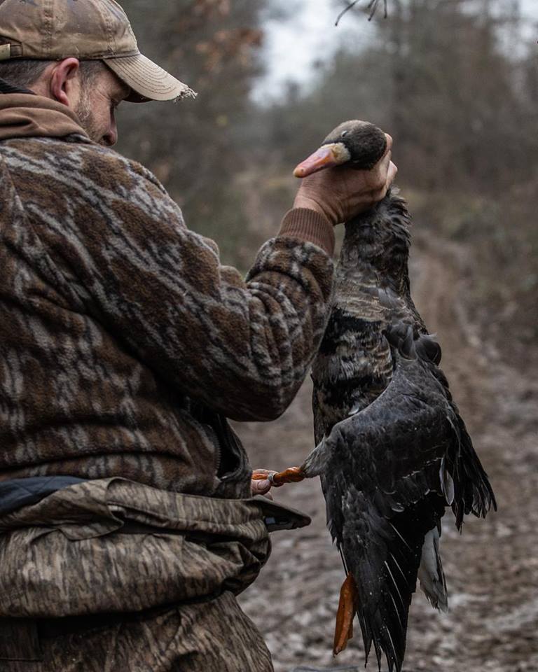 North America Duck Hunting Gage Outdoor Expeditions